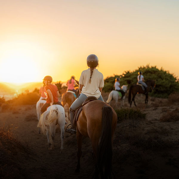 ONIRA - Paseos a caballo en Tenerife